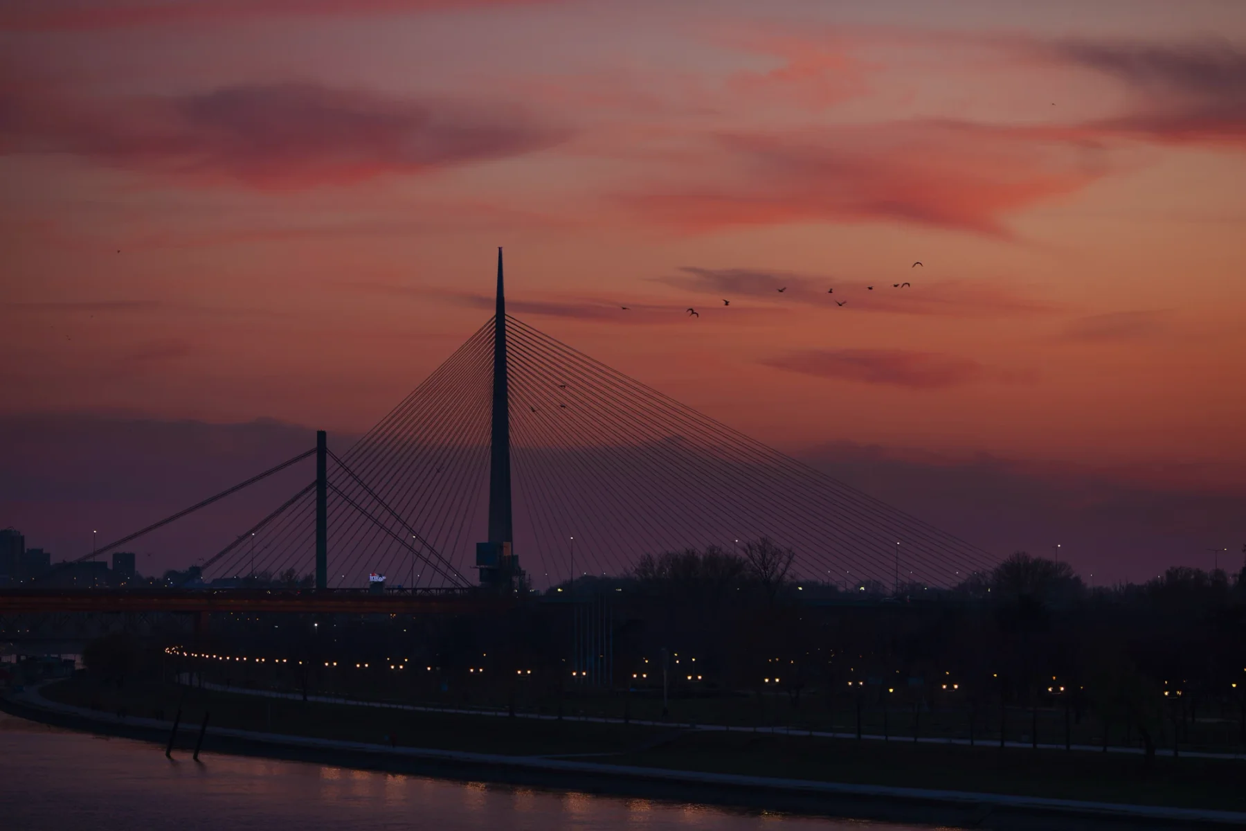 The Ada bridge over the Sava in Belgrade at sunset